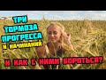 ТРИ ТОРМОЗА ПРОГРЕССА И НАЧИНАНИЙ // Как с ними бороться?