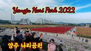 yangju nari park || Nari park South korea || pink flower garden || Nepali Vlog Nari Park ||나리공원 2022