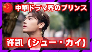 【シュー・カイ（许凯）】《中国イケメン俳優》中華ドラマ界のプリンス