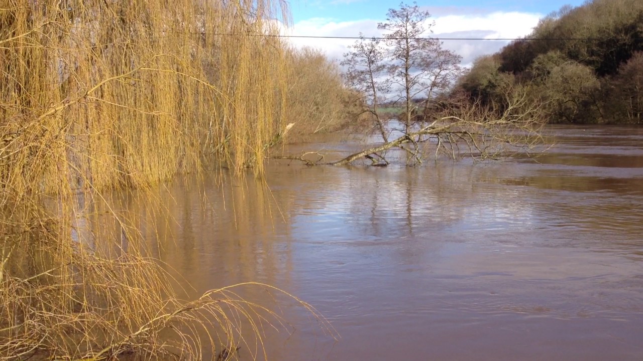River Wye Canoe Hire based in Symonds Yat - Canoe the Wye Ltd. When the River Wye Burst its Banks