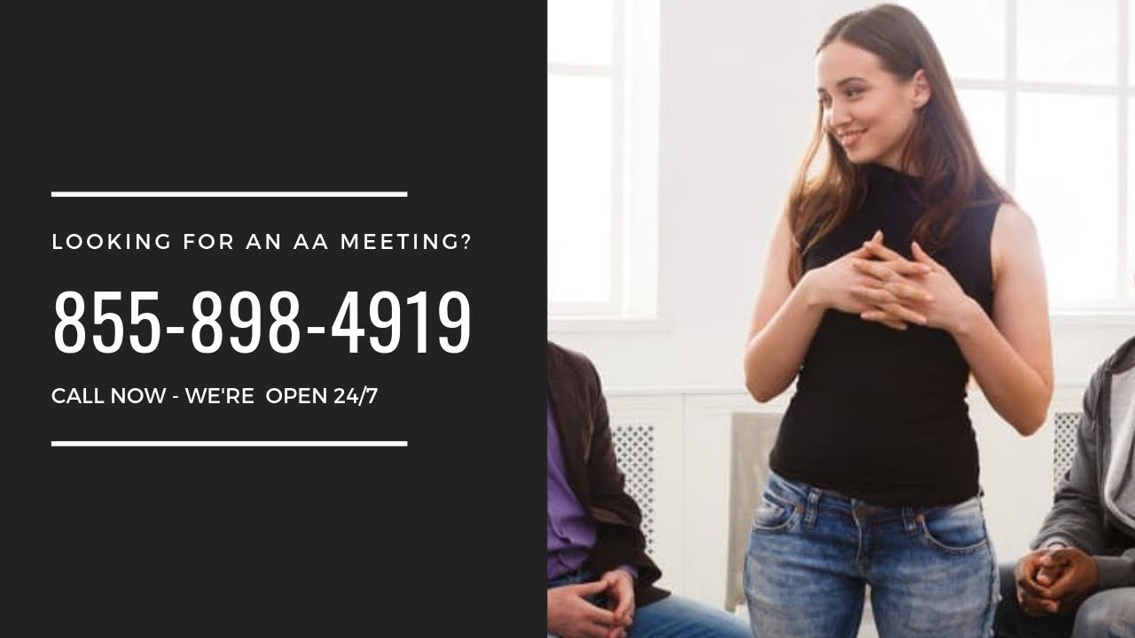 AA Meetings Sarasota YouTube