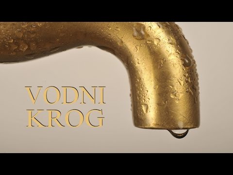 Video: Kako se imenuje vodni krog?