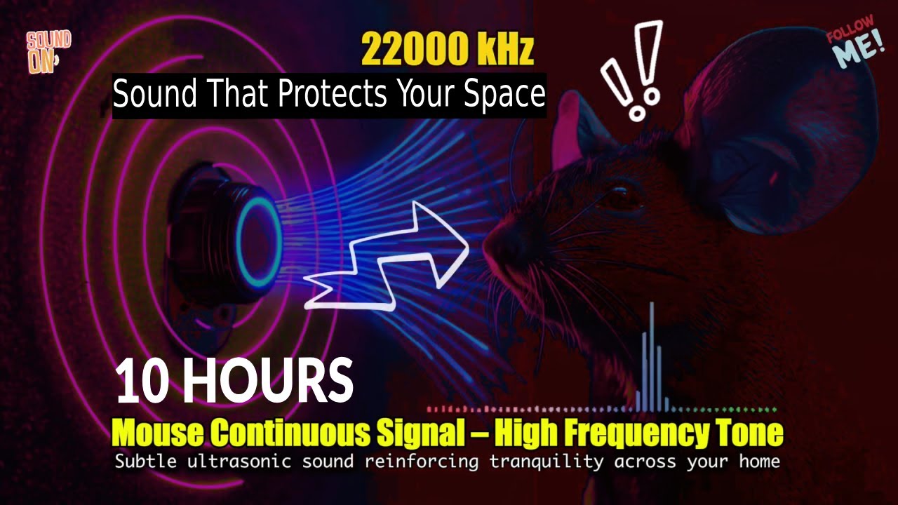 🐭 Mouse Continuous Signal – High Frequency Tone | Ultrasonic Style ...
