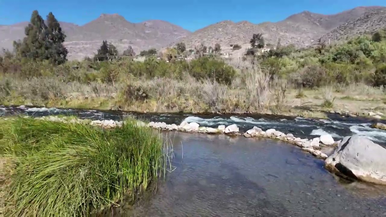 El Molle de Vicuña: nuevo recorrido aéreo ✨ | Chile