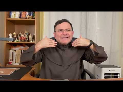 O Reino dos Céus e o discernimento  17º DOMINGO DO TEMPO COMUM
