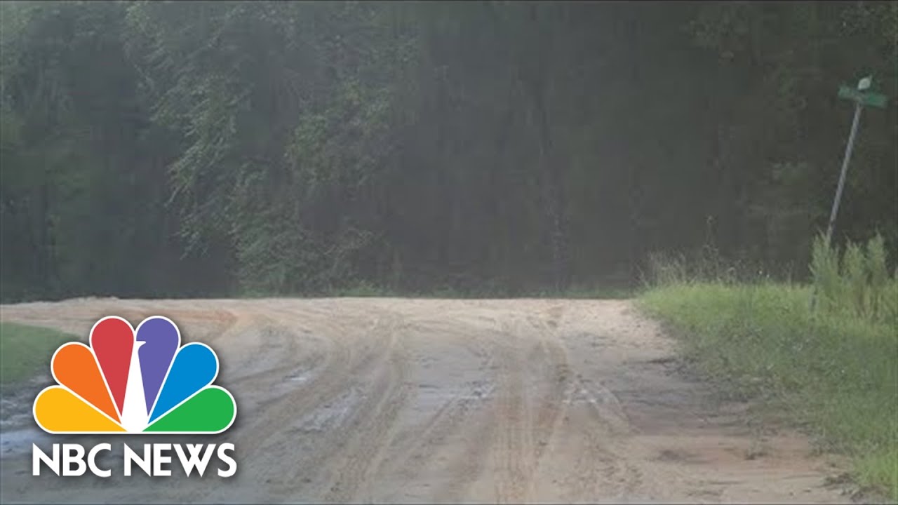 Florida Postal Carrier Mauled By Dogs After Car Breaks Down