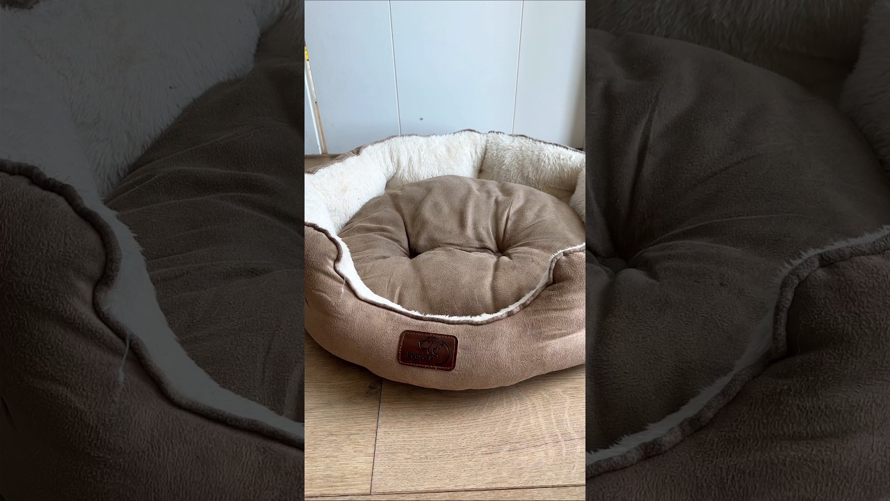 Washable Pet Bed for Dogs & Cats 💤 | Fluffy Donut Nest for Ultimate Pet Relaxation