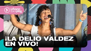 La Delio Valdez en la fiesta de año nuevo de #VueltaYMedia