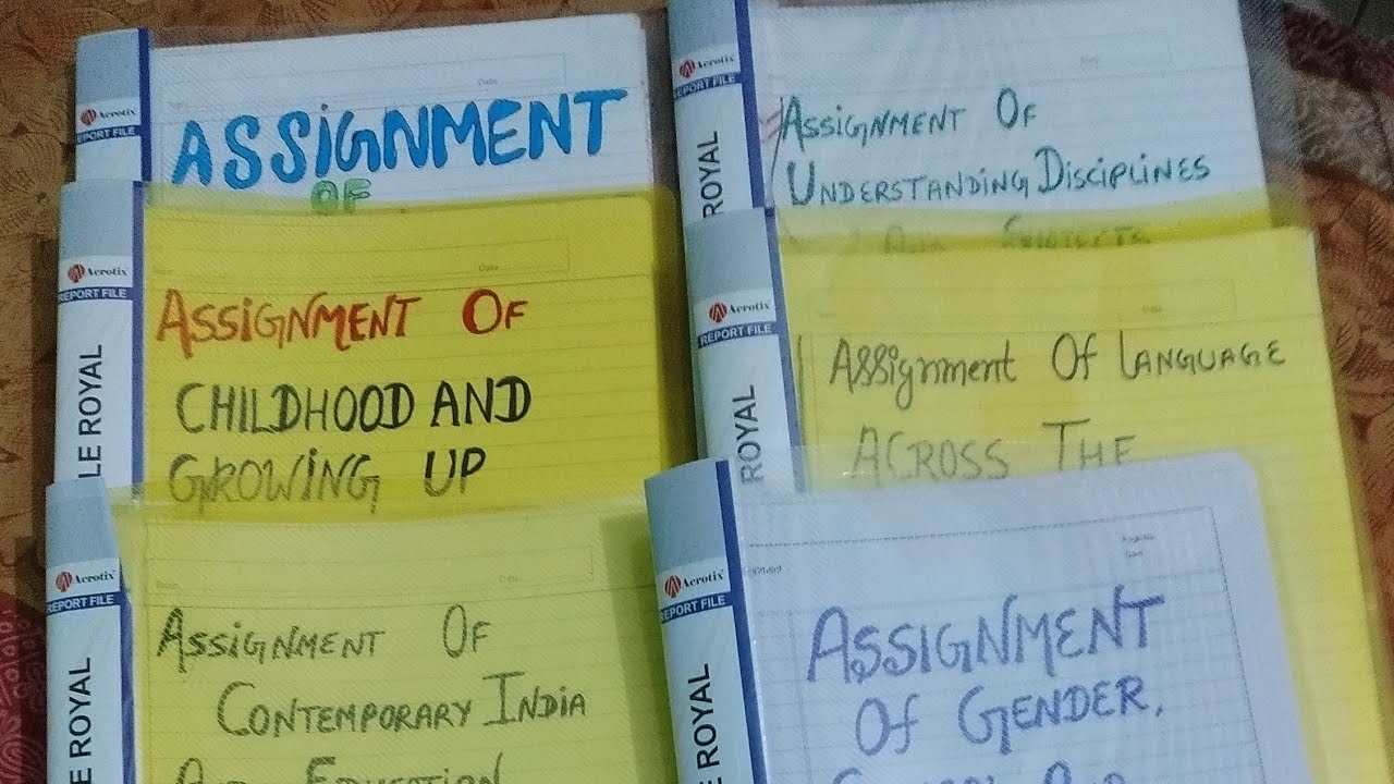 bed 1 year assignment in hindi pdf