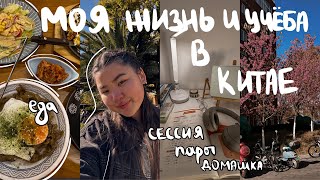 китай влог | сессия, самолёт, японская еда , посылки с таобао, новый год с друзьями🤍