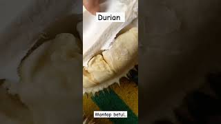 Durian enak #viral #shortvideo #shortsfeed #durian #shorts