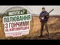 Полювання з гончими на Житомирщині / Випуск №7 / Канал "З полем"