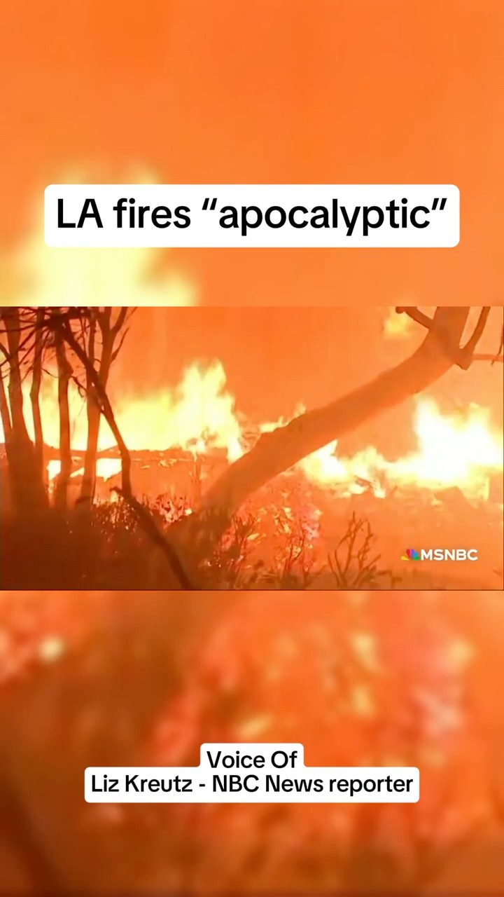 L.A. fires 'apocalyptic'