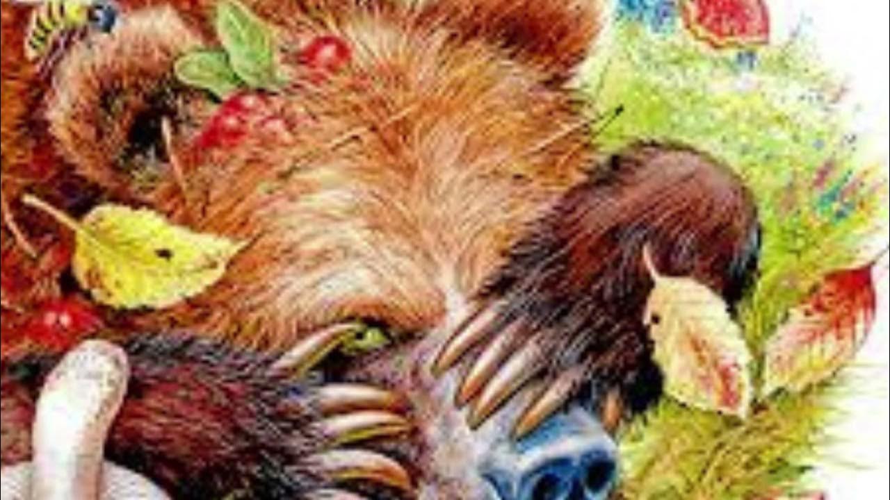 рассказ бурый медведь паустовский. паустовский дремучий медведь книга. к г паустовский медведь. рассказ паустовского дремучий медведь. дремучий медведь паустовский читать полностью.