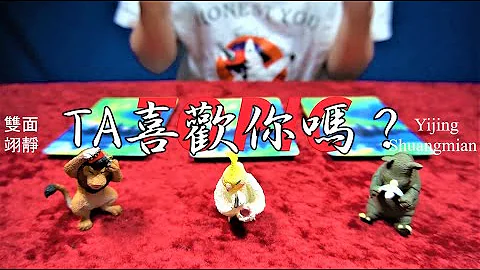 塔罗占卜：TA喜欢你吗？ | 有多喜欢？ (无时间限制) - 天天要闻