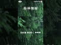 [助眠解压]白噪音-松林细雨