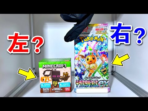 右左どっち】ポケカ女子が選んだパック開封してみた！【マイクラ