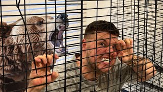 TRAPPED MY BRO IN A BEAR CAGE - PRANK