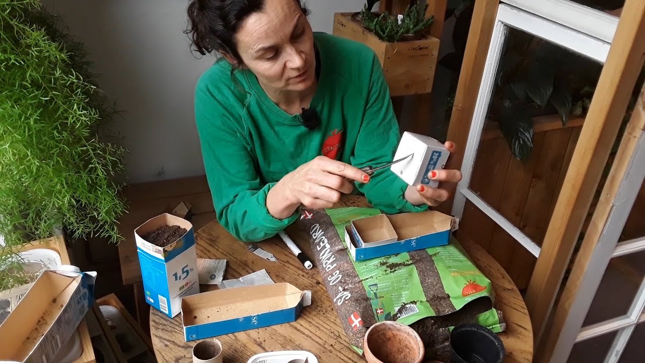 Forspiring med Så- og priklejord fra Champost