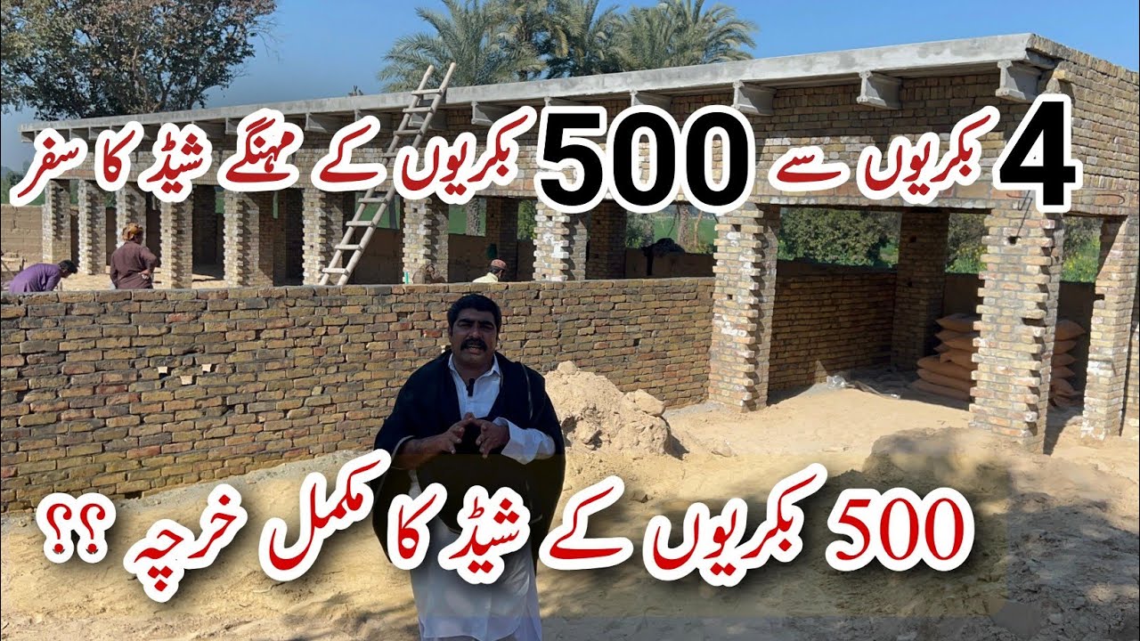 500 Goats Kay Shed Pr kitni Cost ay g ll Goats Shed Construction tips by Chistian Goat Farm