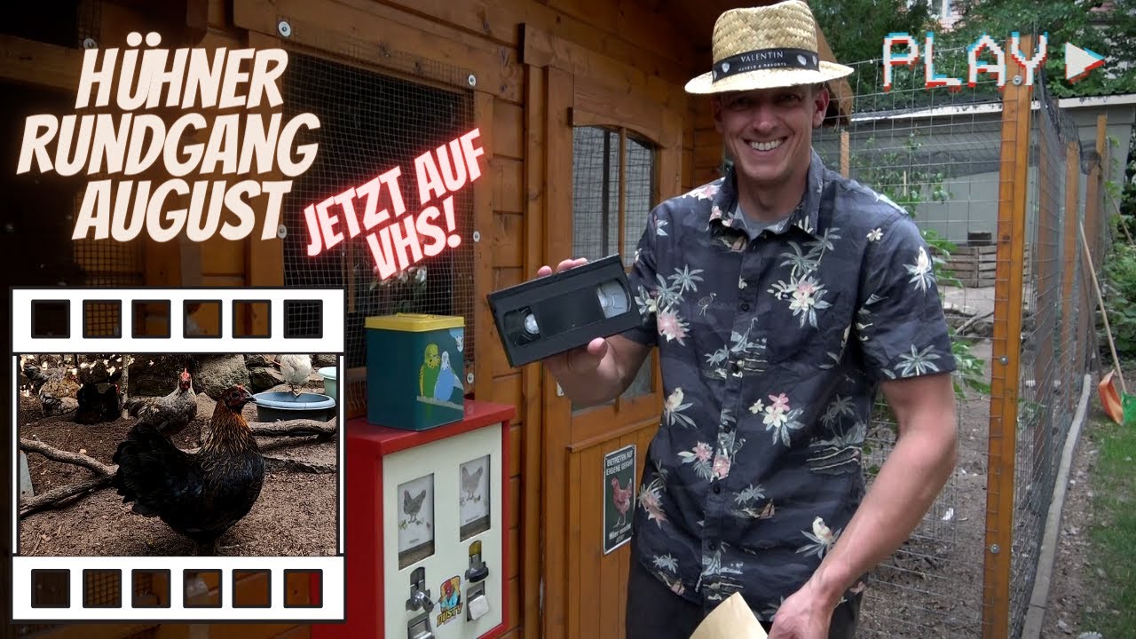 Hühner Rundgang August 2022 - Das große Trinken