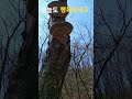 덕지덕지붙었네요 #돌집자연인