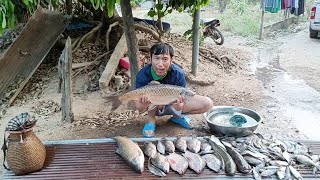 หาปลาแม่น้ำขานกับเพื่อนพล ต้มปลากินริมแม่น้ำอร่อยมาก ได้ปลาโคตรเยอะครับผม