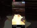 呼煙魔(insta story)