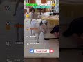 Top 5 Scaredy Dog Moments #funny #dog #ranking