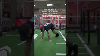 How to Planche (do these progressions)