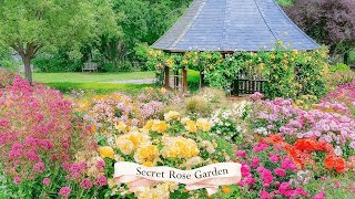 Step Inside a Secret Rose Garden 🌸🌼🌿 so Beautiful in the Spring | 4K Garden Tour
