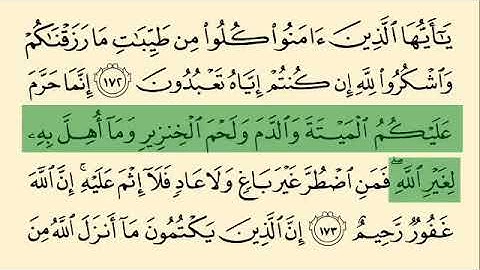 Бақара сураси 170-176 оятлар