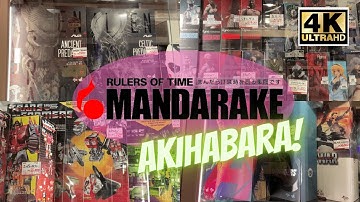 (4KHD) Checking out Mandarake in Akihabara - December 2021
