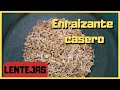 🌿 Cómo hacer y aplicar el enraizante de lentejas en ESQUEJES [Enraizante CASERO]