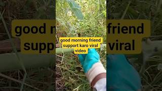 #bageshwarbalaji #aapka #vdeo #woodworking #youtube #subscribe #ashokkumar #attitude #song