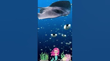 CON GÌ ĐÂY | SINH VẬT BIỂN | BÉ HỌC CON VẬT | ĐỘNG VẬT BIỂN | bÉ HỌC HỎI CON VẬT | RUBYV TV shorts