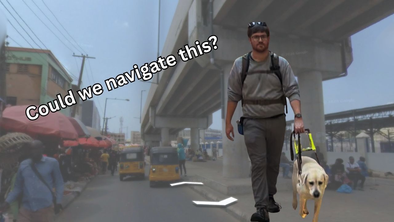 Стоит ли брать с собой собаку-поводыря в эти города?