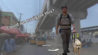 Should I Take My Guide Dog Here?