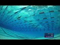 Gabriel Jett soars to men's 200m butterfly win at Westmont Pro Swim Series | NBC Sports