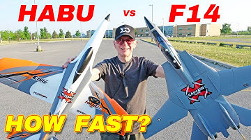 HOW FAST is the EFlite HABU and F14 Tomcat?