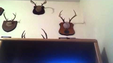 Team brokennnnnndfkdakf dispute second map raid