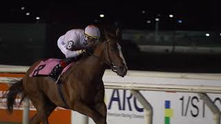 Vidéo de la course PMU NOPAYA NAA (2023)