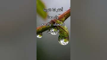 رحمتك يالله #بلغواعني ولو آية #قرآن كريم #اكسبلور #المصحف #جديد #حالات_واتس