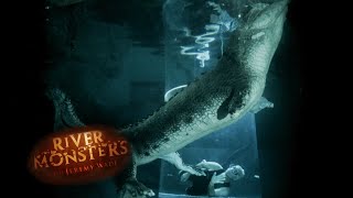 Submerged With World's Largest Crocodile | River Monsters