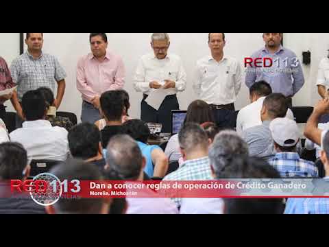 VIDEO Dan a conocer reglas de operación de Crédito Ganadero a la Palabra 2019.