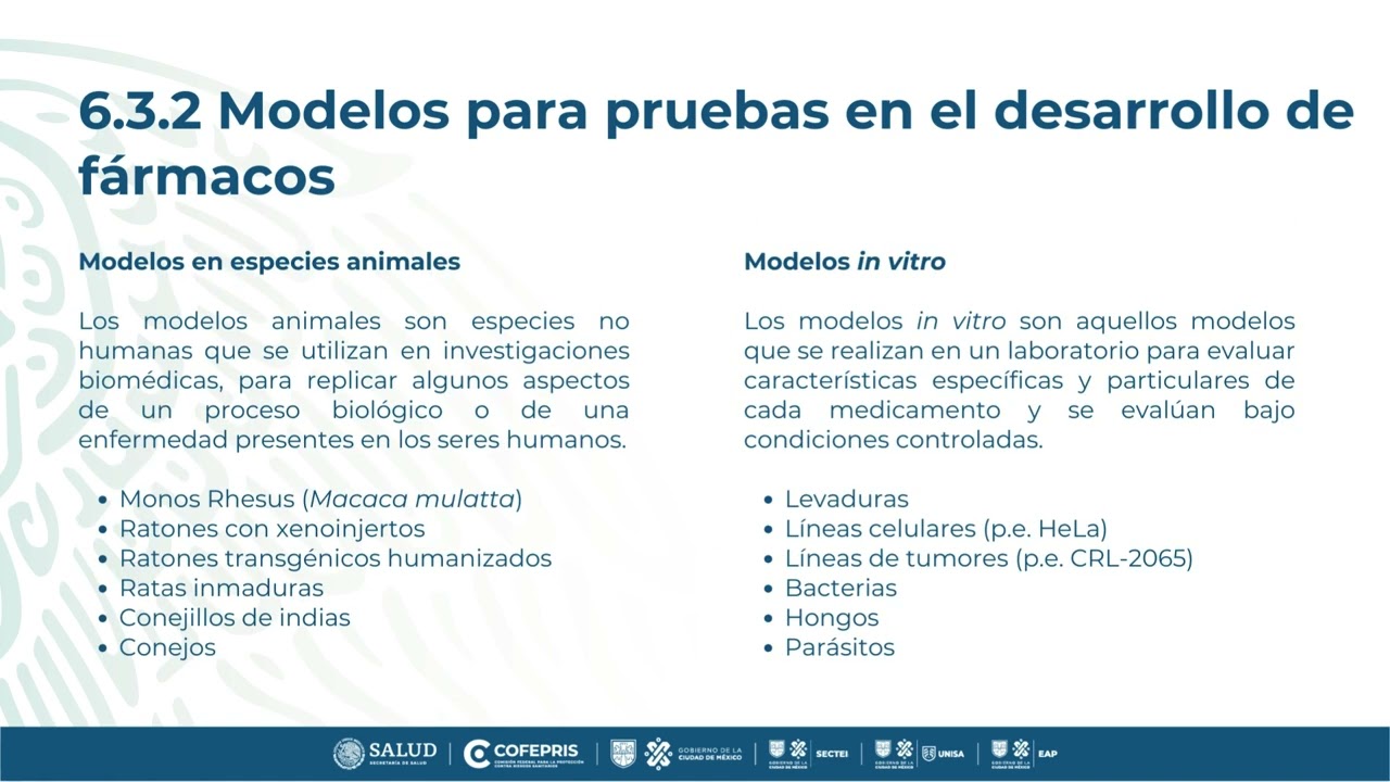 6 3 CARACTERIZACIÓN Y ANÁLISIS PRUEBAS IN VITRO E IN VIVO