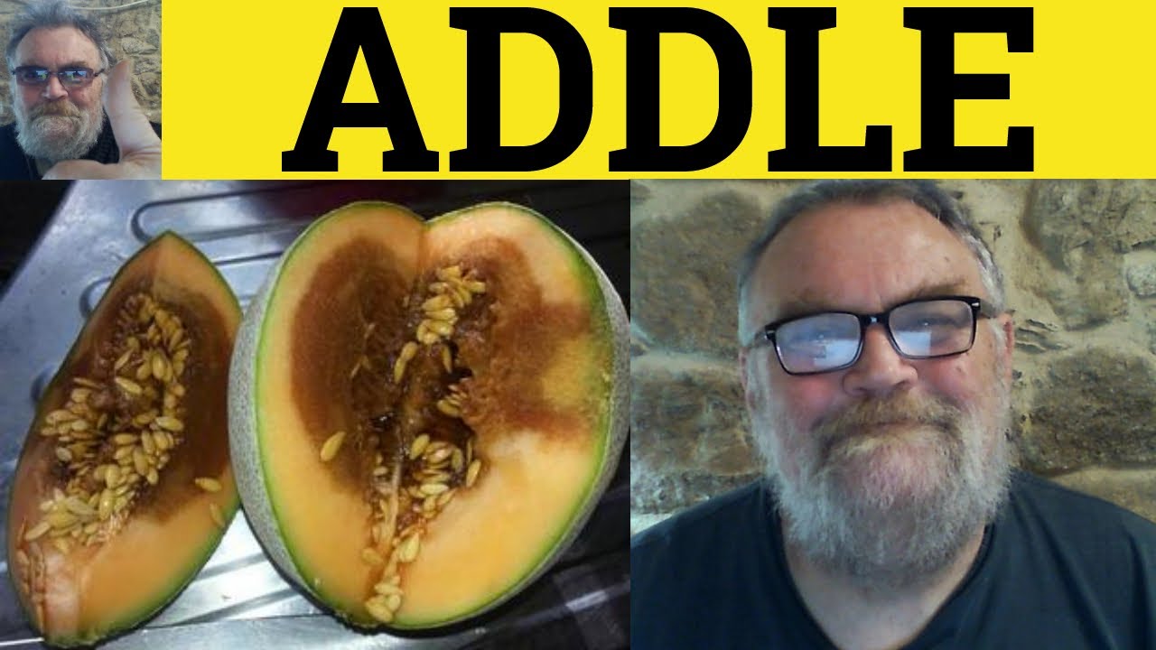 🔵 Addle Meaning Addled Definition Addle Examples Addled Explained