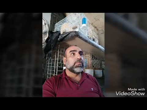 رام الله خربثا المصباح خلف المركز الصحي