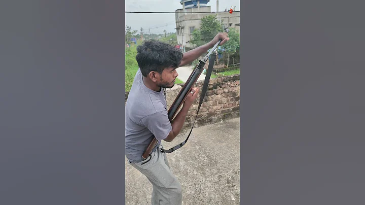 Professional Shooter | Hunting Birds | Birds Killer | Air gun #youtubeshorts #shorts #ytshorts