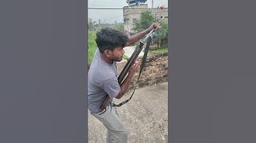 Professional Shooter | Hunting Birds | Birds Killer | Air gun #youtubeshorts #shorts #ytshorts